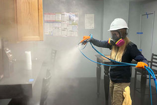 portland mold removal