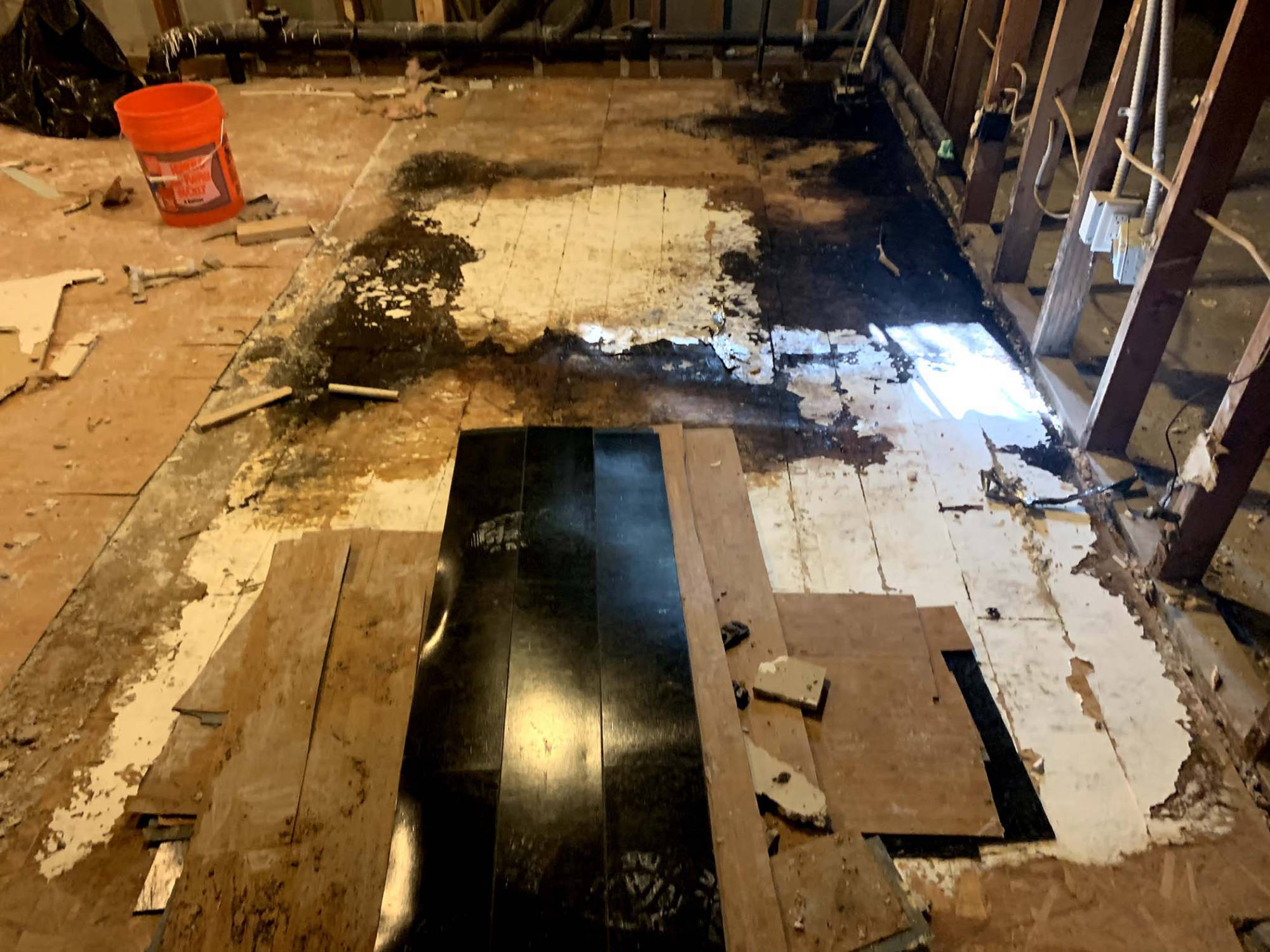 Mold Removal Barnes Heights Oregon